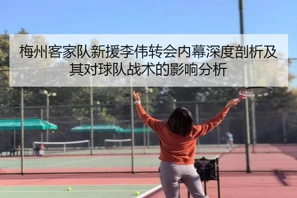 梅州客家队新援李伟转会内幕深度剖析及其对球队战术的影响分析