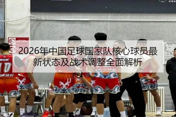 2026年中国足球国家队核心球员最新状态及战术调整全面解析