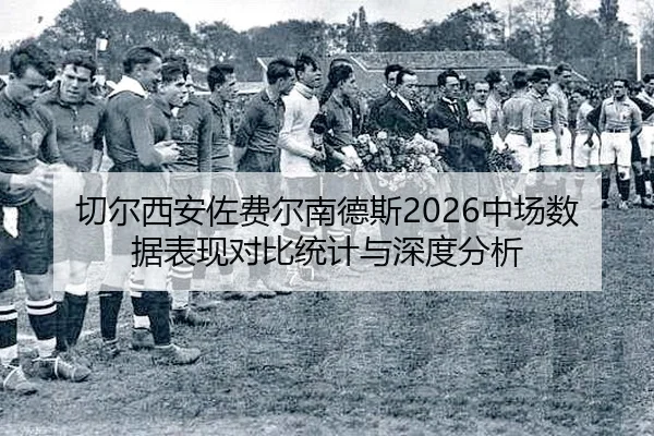 qie-er-xi-an-zuo-fei-er-nan-de-si-zhong-chang-shu-ju-biao-xian-dui-bi-tong-ji-yu-shen-du-fen-xi-2-952.jpg